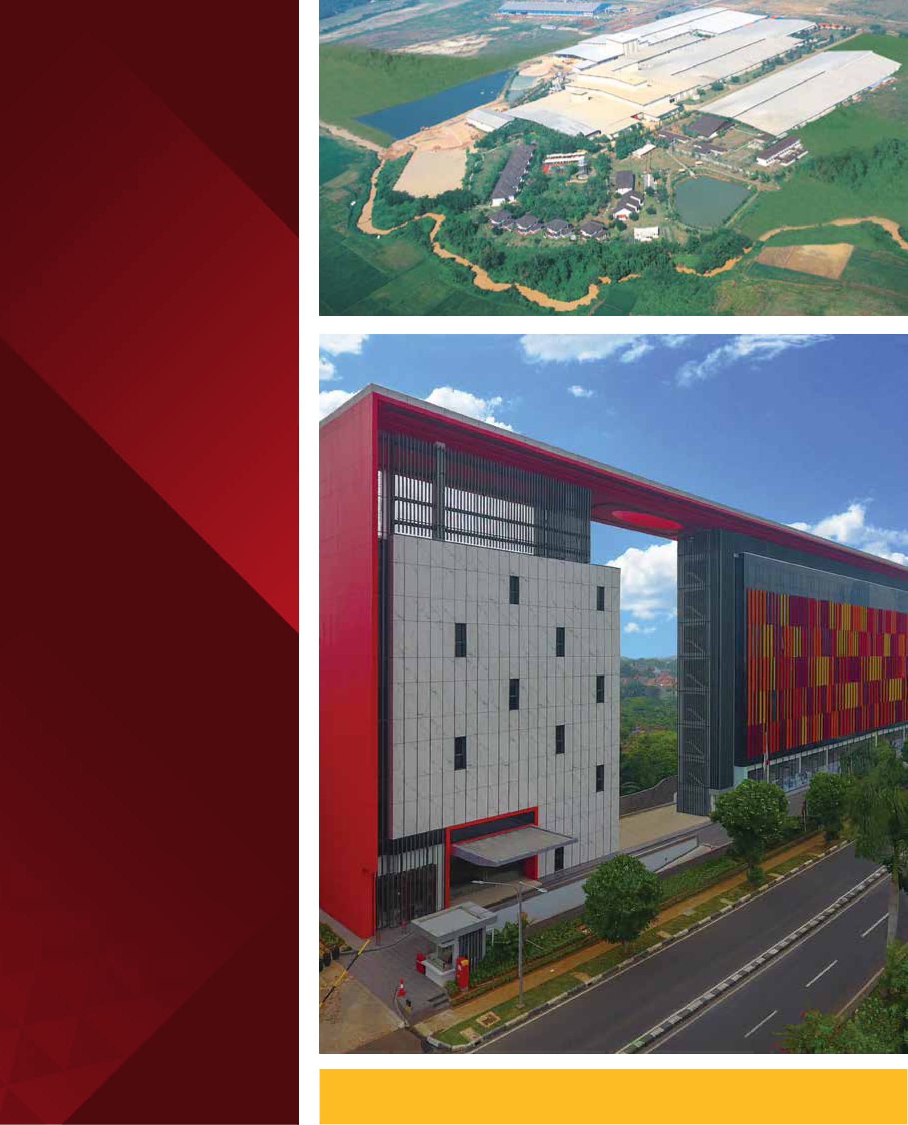 Roman Rectificado Wall Tiles